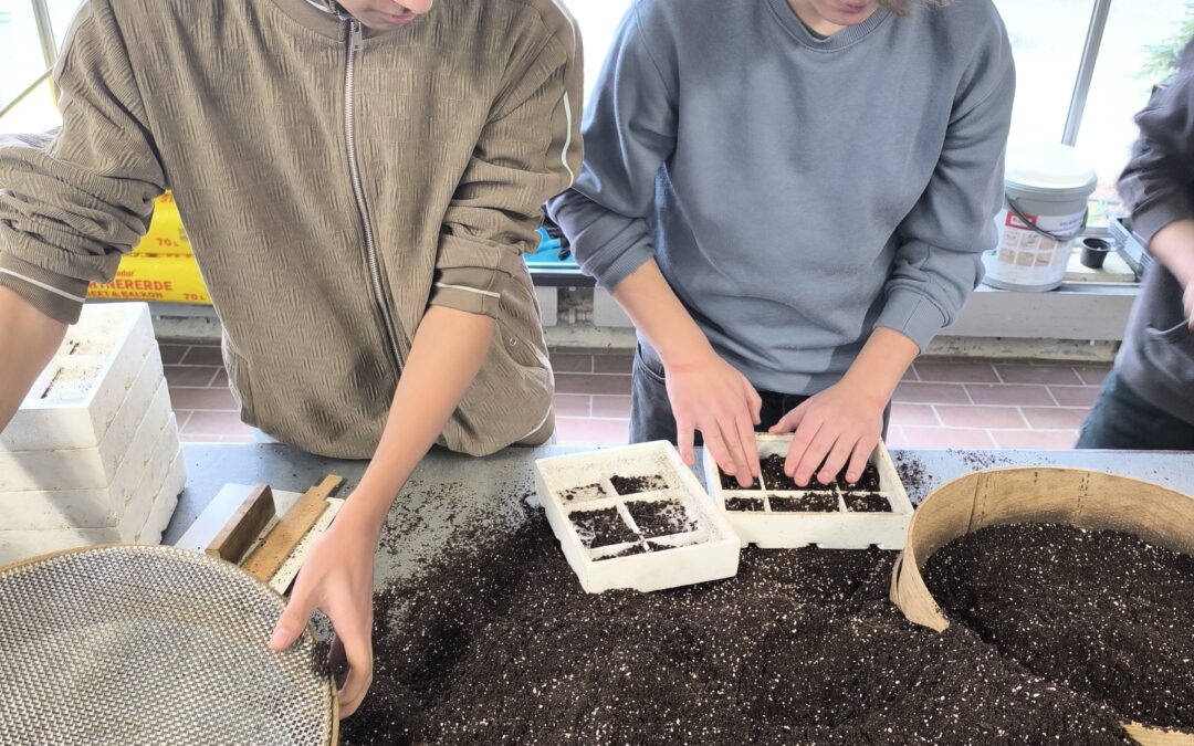 Schnupperpraktikum an der Justus von Liebig Schule