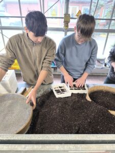 Zwei Jugendliche arbeiten an einem Tisch mit gesiebter Blumenerde und befüllen Anzuchtschalen.
