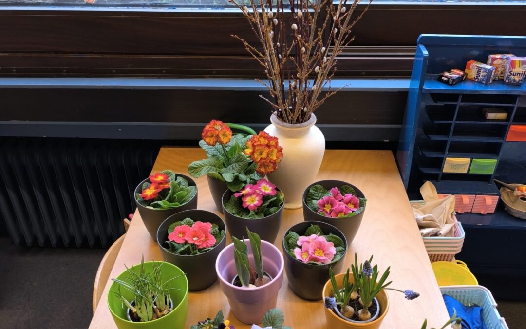 Warten auf den Frühling im Schulkindergarten