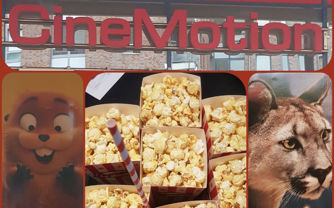 Projekttag im Kino