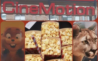 Projekttag im Kino